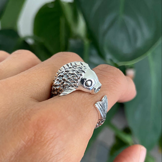 Anillo pez